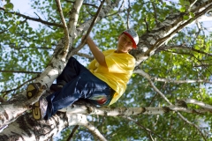 ivan-on-tree